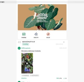热带loveplants