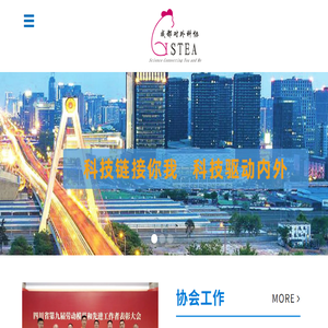 成都市对外科技交流协会