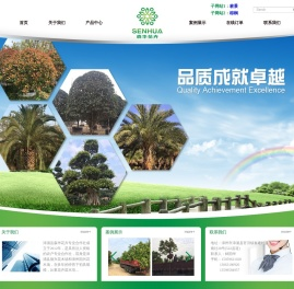 漳浦森华花卉专业合作社