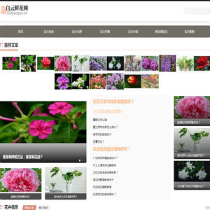 白云鲜花网