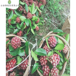 云南博斯食品有限公司