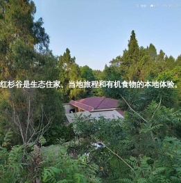 红杉谷