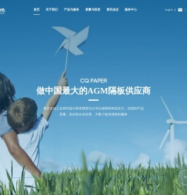 重庆造纸研究院