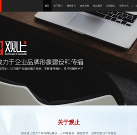西安网站建设,西安网站制作,西安网站设计,西安企业网站建设就选观止