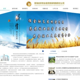 青海省农牧业信贷担保有限责任公司