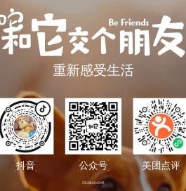 和它交个朋友