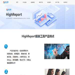 专业的Web报表软件