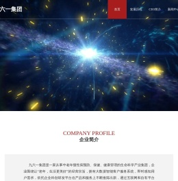 九六一集团