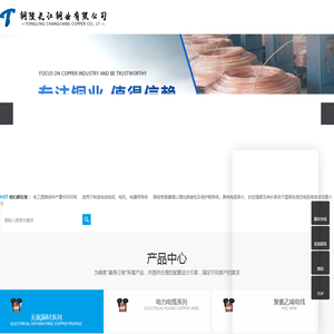 铜陵长江铜业有限公司