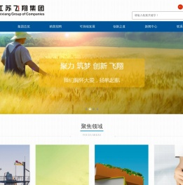 江苏飞翔集团