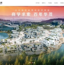 华茂集团官网