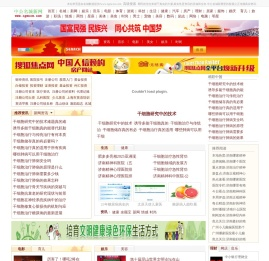 中公名城新网欢迎您