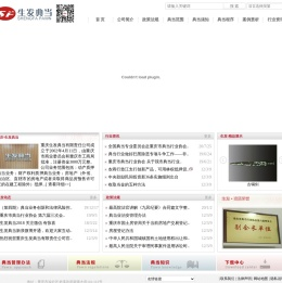 重庆生发典当有限责任公司