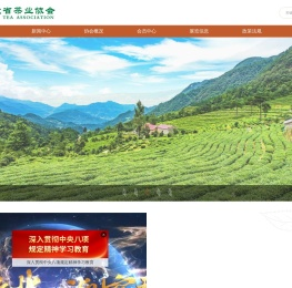 安徽茶网