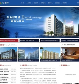 亿鼎丰