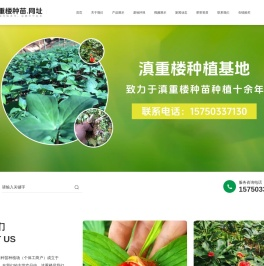 大姚县优质滇重楼种苗种植场（个体工商户）