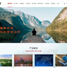 澜森科技企业官网