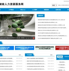 湖南人力资源服务网