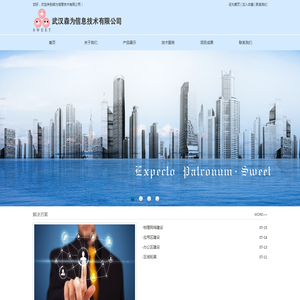 武汉森为信息技术有限公司