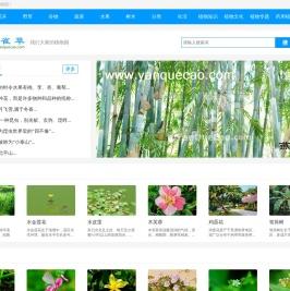 植物百科