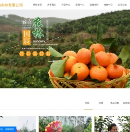 沃柑价格