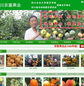 成都天府新区宗富水果种植专业合作社
