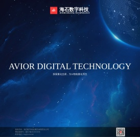 海石数字科技(重庆)有限责任公司