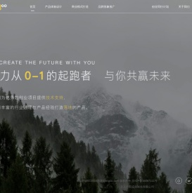 邦果技术VC