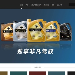 威仕中国