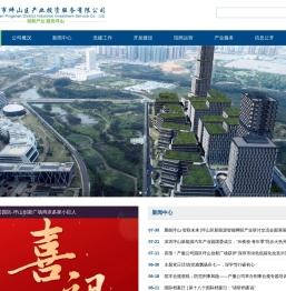 深圳市坪山区产业投资服务有限公司
