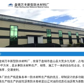 盘锦万丰新型防水材料厂