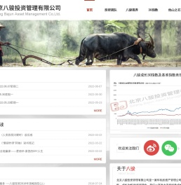 北京八骏投资管理有限公司