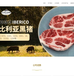 北京鑫升百利贸易有限公司