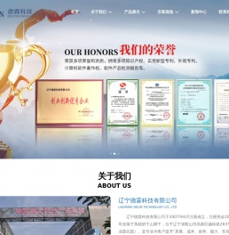 辽宁德霖科技有限公司