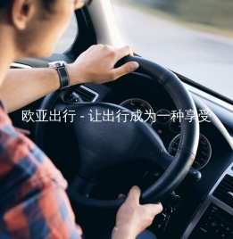 欧亚出行