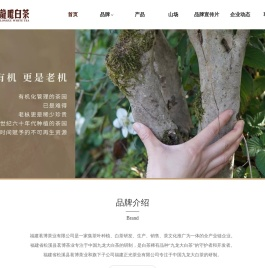 福建茗博茶业有限公司