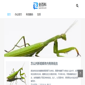 全百科