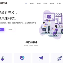 软件开发