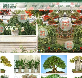 成都植物租摆