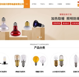 东莞市奥升照明电器有限公司