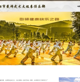 戴炜太极