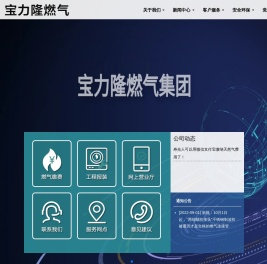 寿光市宝力隆燃气集团有限公司