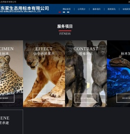 广州东家生态用标本有限公司