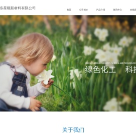 山东星顺新材料有限公司
