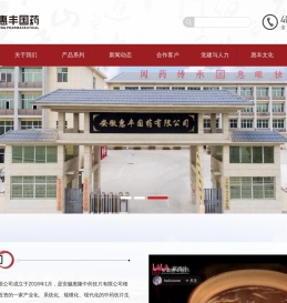 安徽惠丰国药有限公司