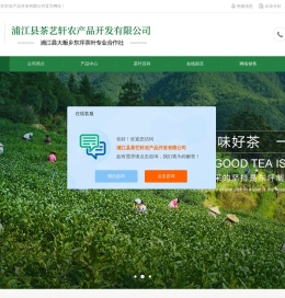 东坪高山茶