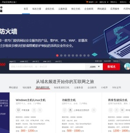 DNS110域名频道
