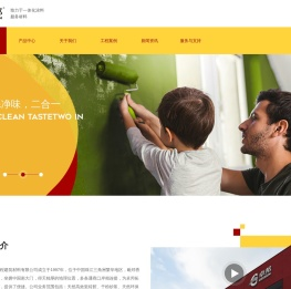 专业生产瓷砖胶腻子粉厂家