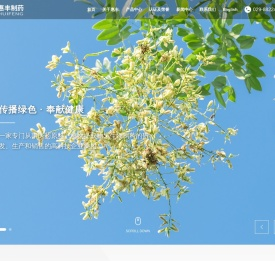 陕西惠丰制药有限公司