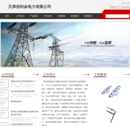 天津佰利金电力有限公司